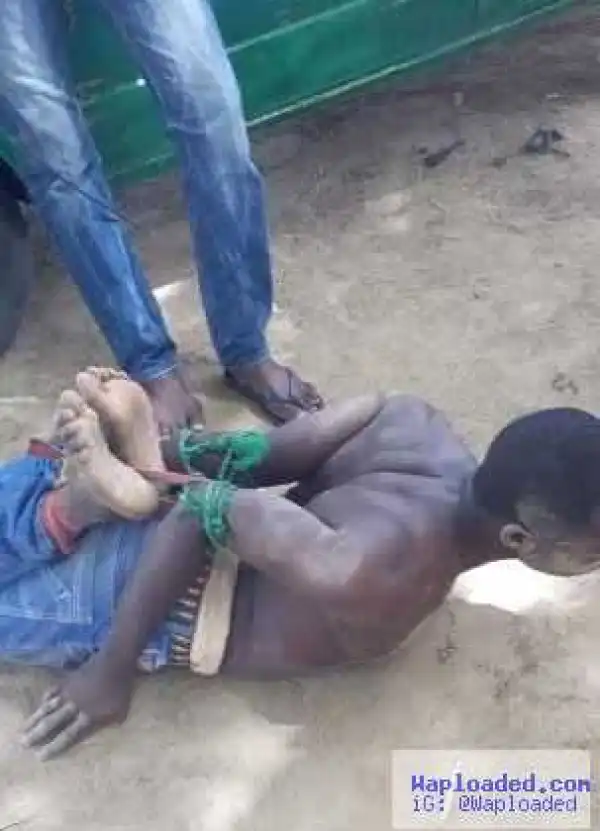 Photos: Boko Haram terrorist captured by CJTF with Cameroonian and Nigerian money